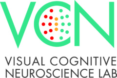Brock University – Visual Cognitive Neuroscience Lab